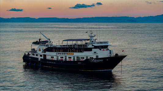 Liveaboard - Valentina | La Paz | 07 Agosto / 13 Agosto