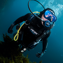 Regulador MC9 int / Compact  | Envio Gratis