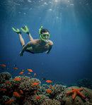 Combo Ikarus & Orion Special Edition |Envio Gratis