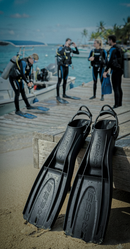 Aleta Origin LD | Envio Gratis